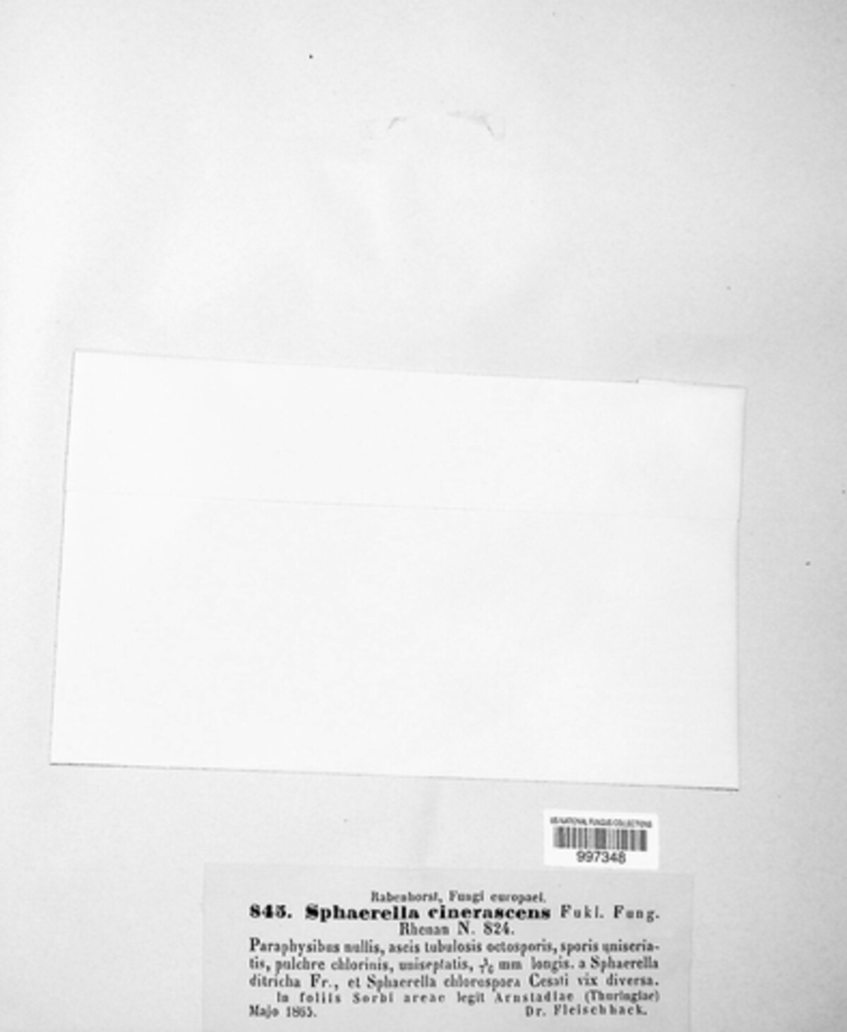 Venturia inaequalis image